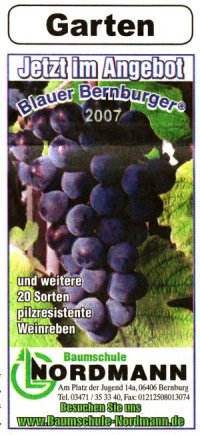 Blauer Bernburger Wein